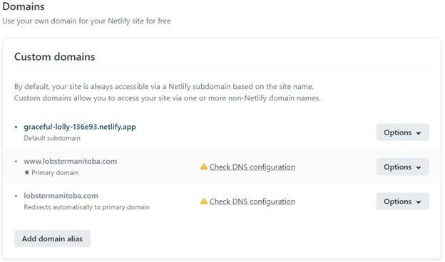 screenshot of netlify