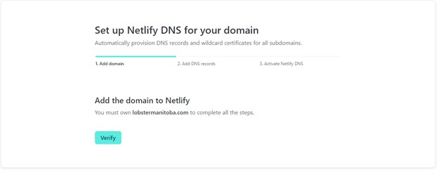 screenshot of netlify